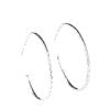 Rural Reserve - Silver Earrings