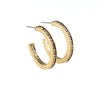 Hoop Haven - Brass Earrings